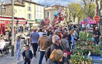 Image reportage