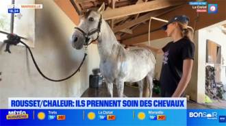 Image reportage