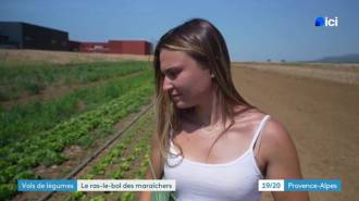 Image reportage
