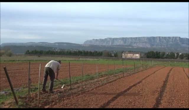 « Trets avec vous » présente son projet de « Régie Agricole Municipale », à travers un reportage vidéo